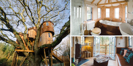 Your childhood treehouse got a major upgrade